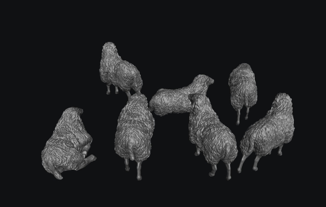 SWA001 Sheep x 7