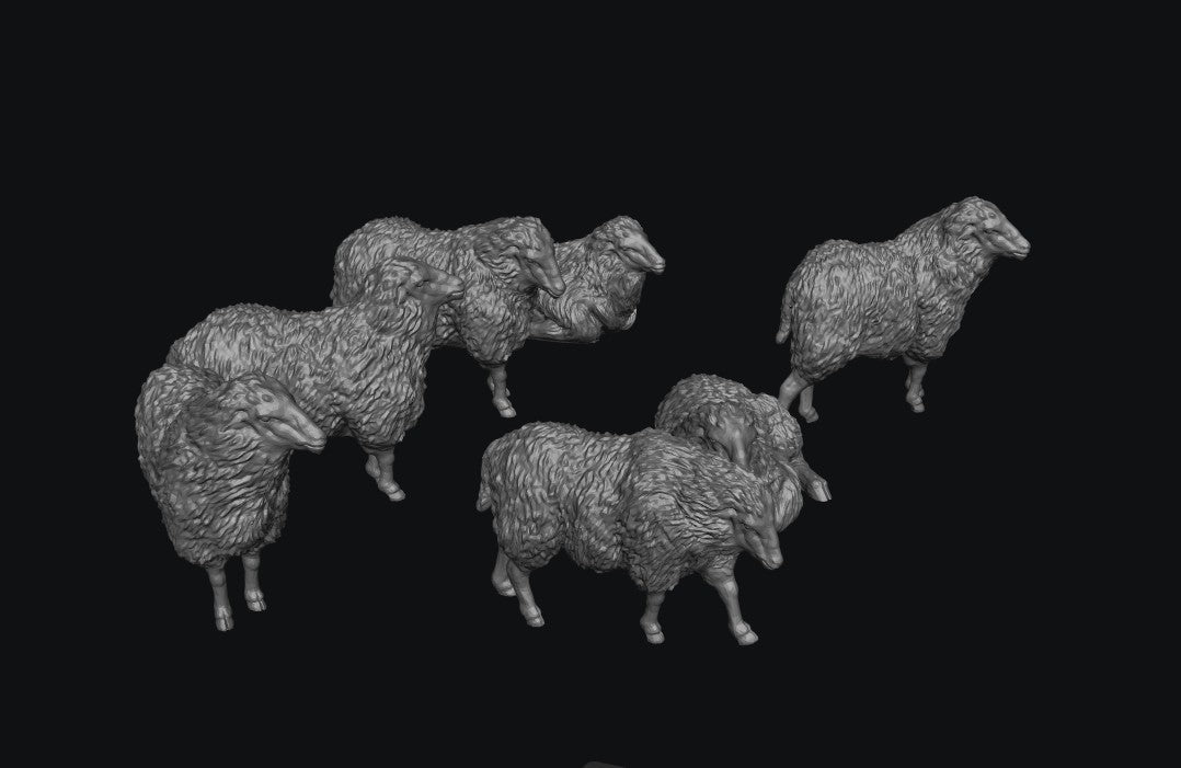 SWA001 Sheep x 7