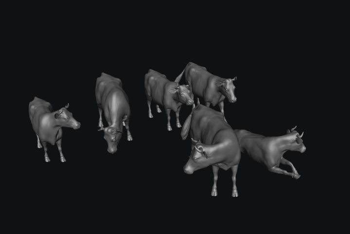 SWA002 Dairy Cows x 6