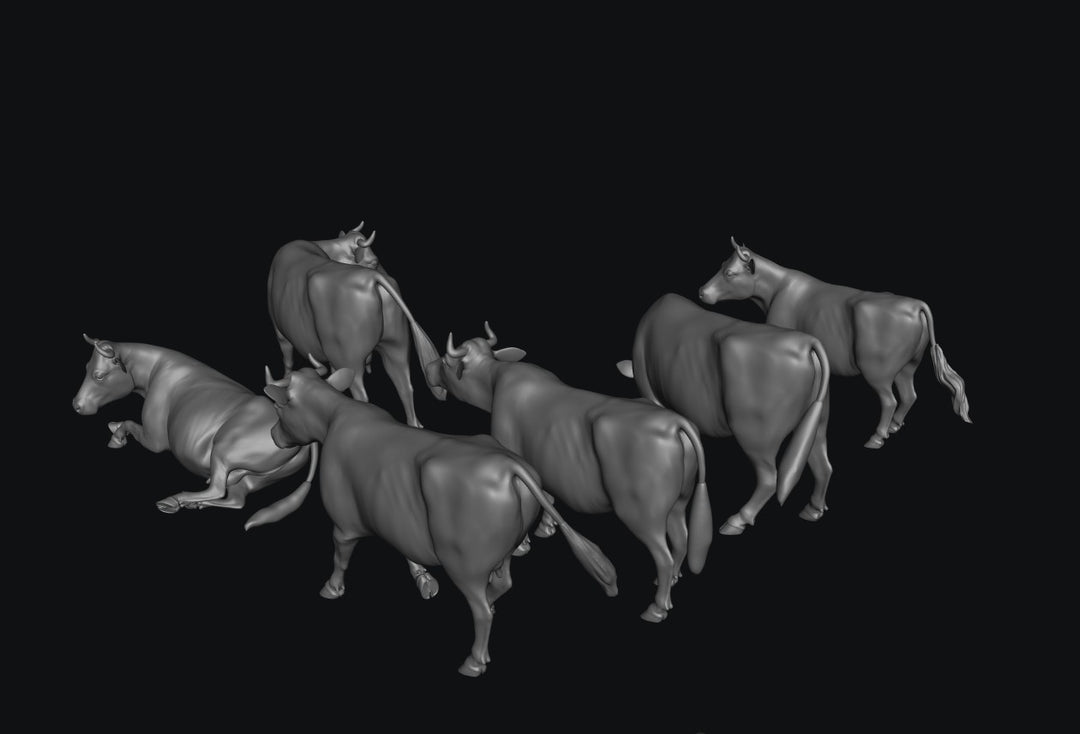 SWA002 Dairy Cows x 6