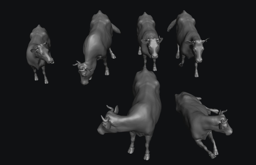 SWA002 Dairy Cows x 6