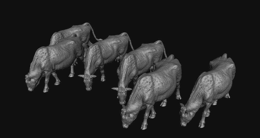 SWF001 Red Devon Cows Grazing x 6