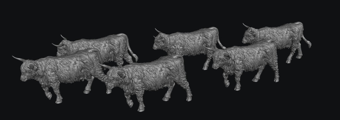 SWF002 Highland Cows Walking x 6