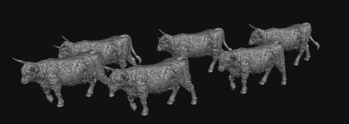 SWF002 Highland Cows Walking x 6