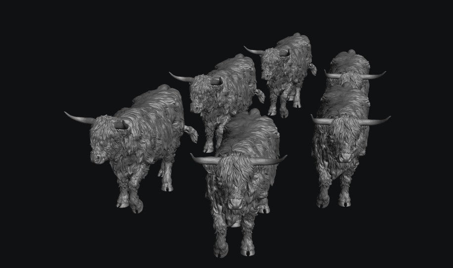 SWF002 Highland Cows Walking x 6