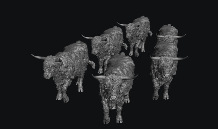 SWF002 Highland Cows Walking x 6