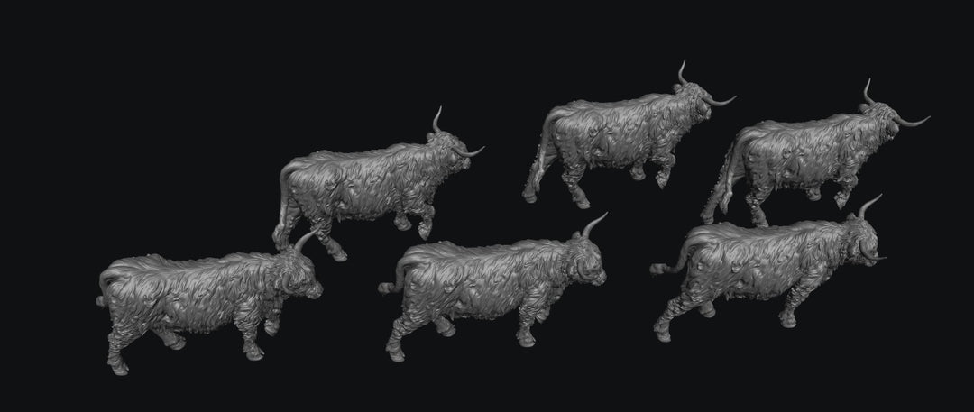 SWF002 Highland Cows Walking x 6