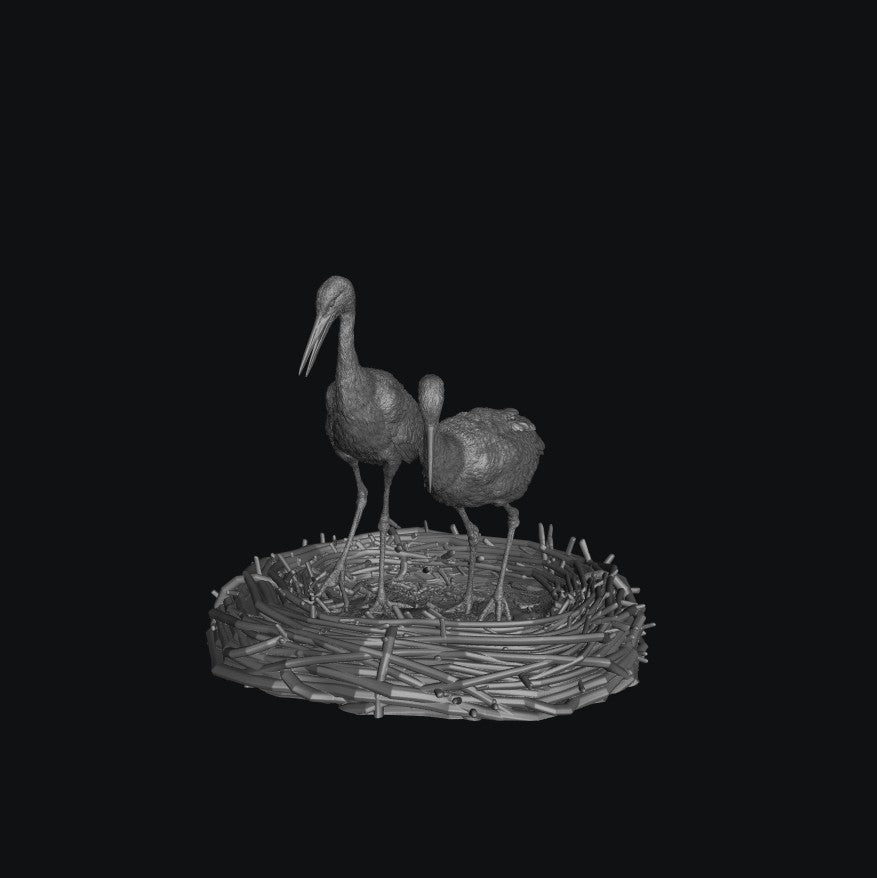 SWB008 White Stork Courting