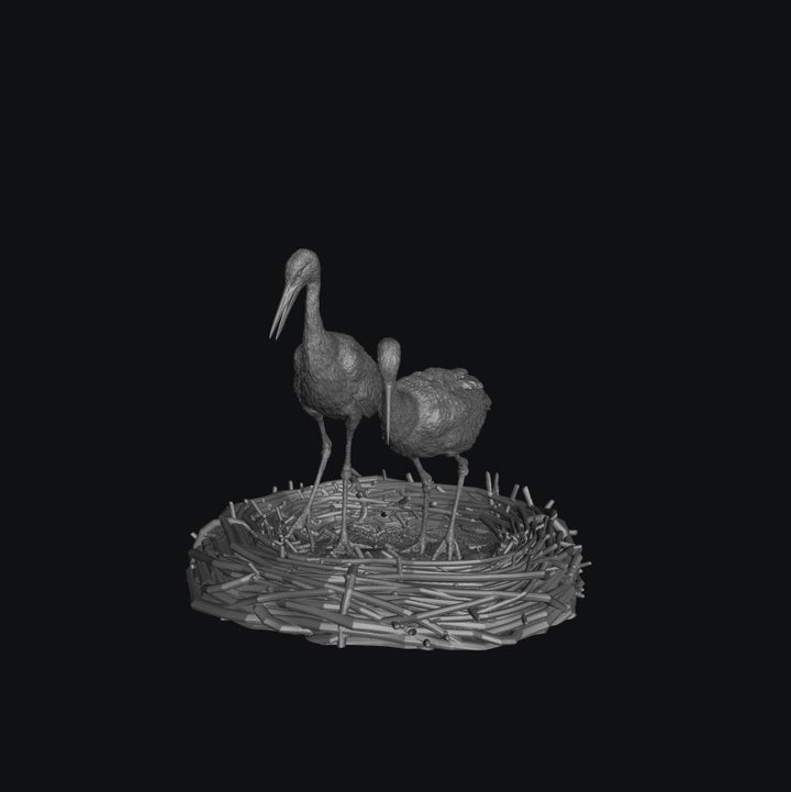 SWB008 White Stork Courting