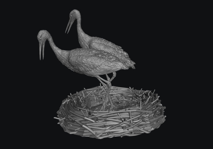 SWB008 White Stork Courting