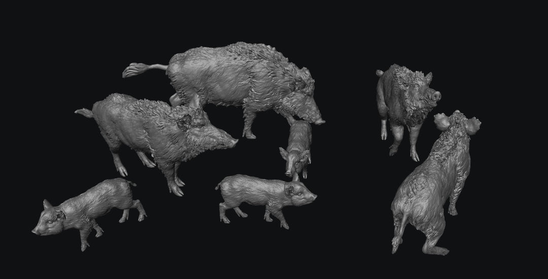 SWF003 Wild Boars