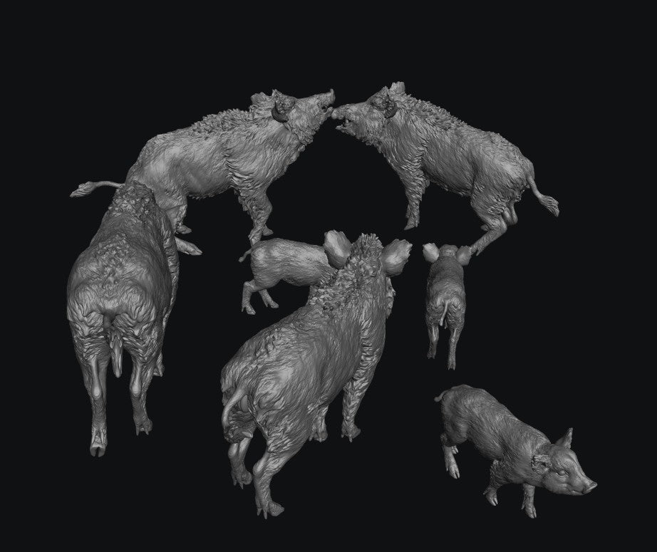 SWF003 Wild Boars