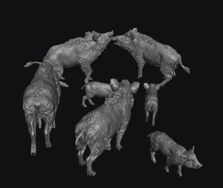 SWF003 Wild Boars