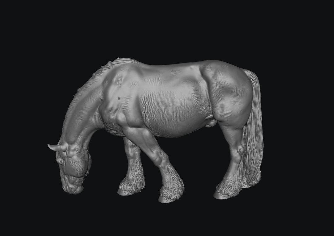 SWF004 Shire Horse B Feeding