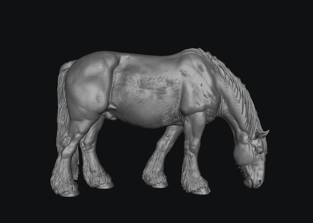 SWF004 Shire Horse B Feeding