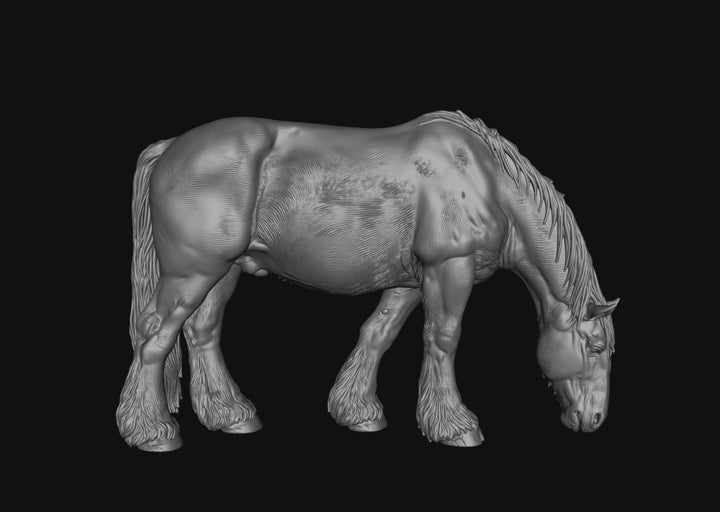 SWF004 Shire Horse B Feeding