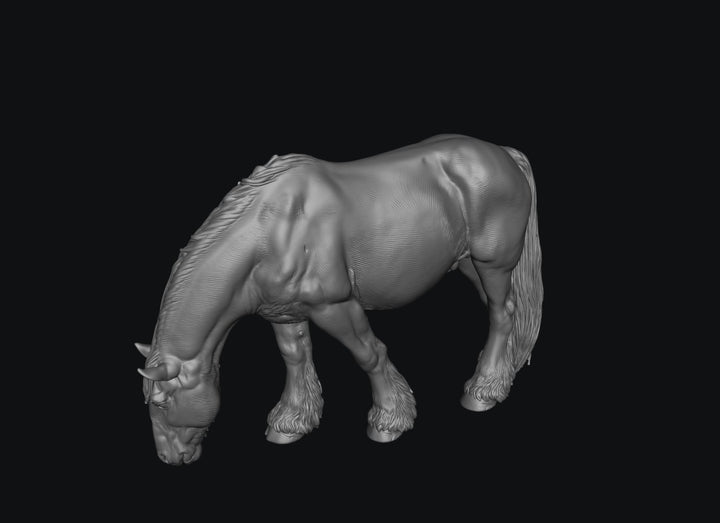 SWF004 Shire Horse B Feeding