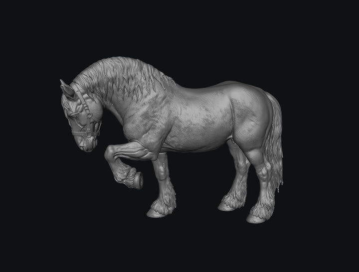 SWF004 Shire Horse D Front Foot Up