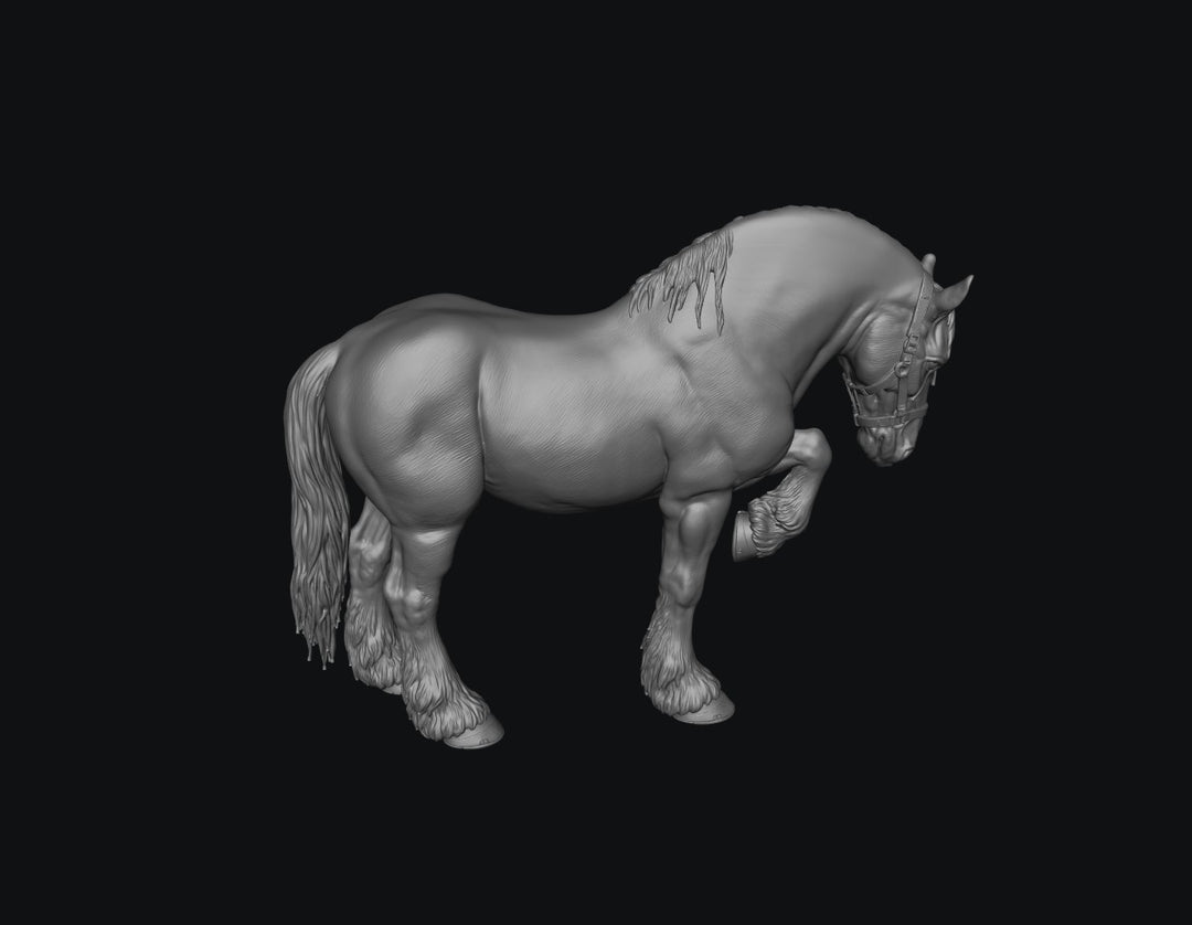 SWF004 Shire Horse D Front Foot Up