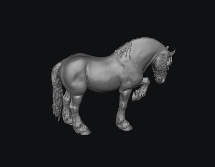 SWF004 Shire Horse D Front Foot Up