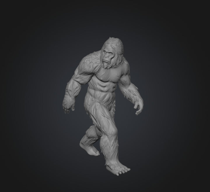 SW2203 Sasquatch