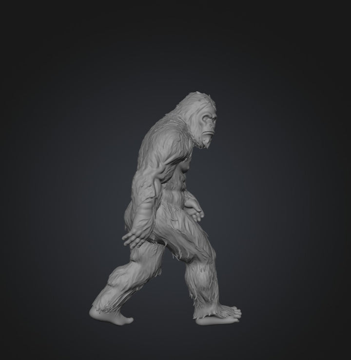 SW2203 Sasquatch