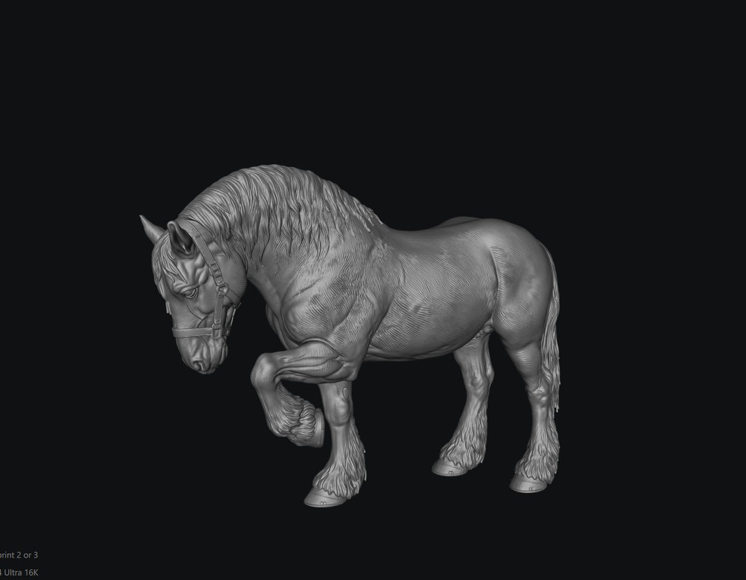 SWF004 Shire Horse D Front Foot Up