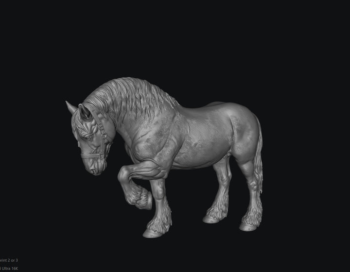 SWF004 Shire Horse D Front Foot Up