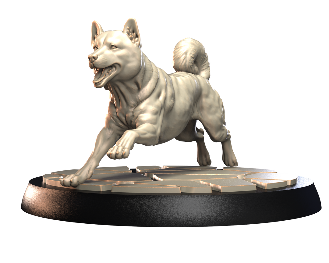 Dogs2 - Shiba Inu 2