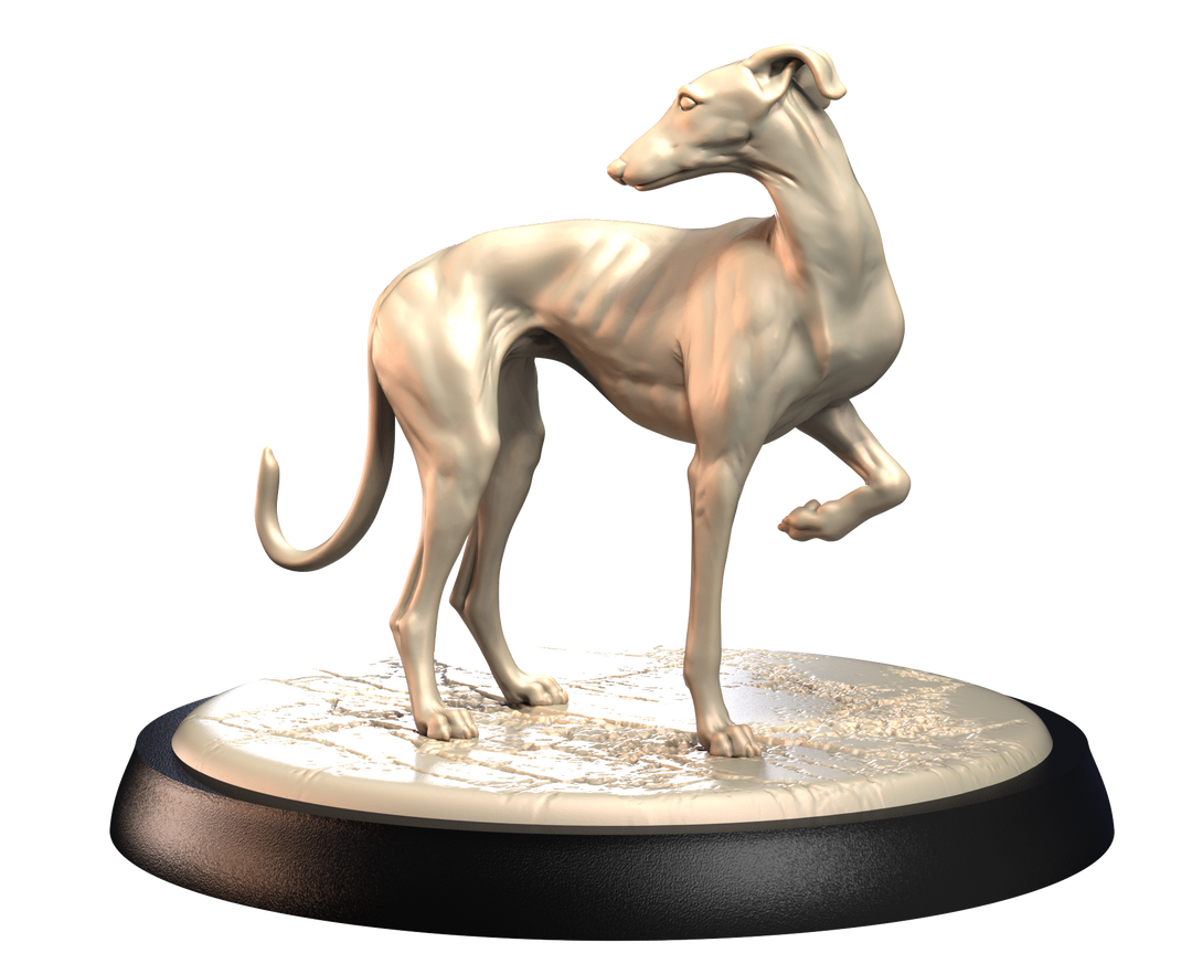 Dogs2 - Spanish Greyhound 2