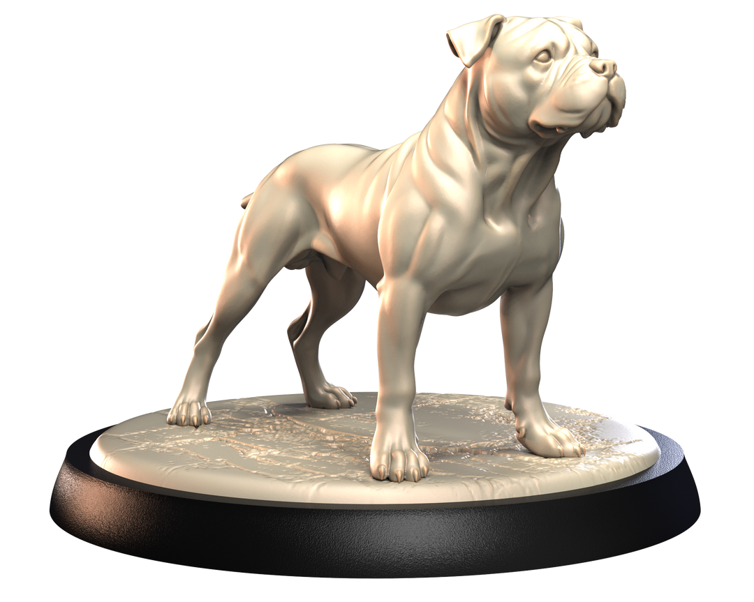 Dogs2 - Staffordshire Bull Terrier 1