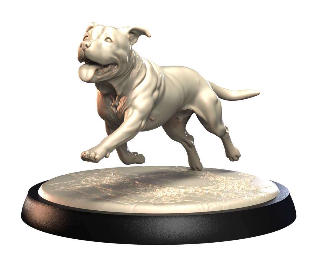 Dogs2 - Staffordshire Bull Terrier 2