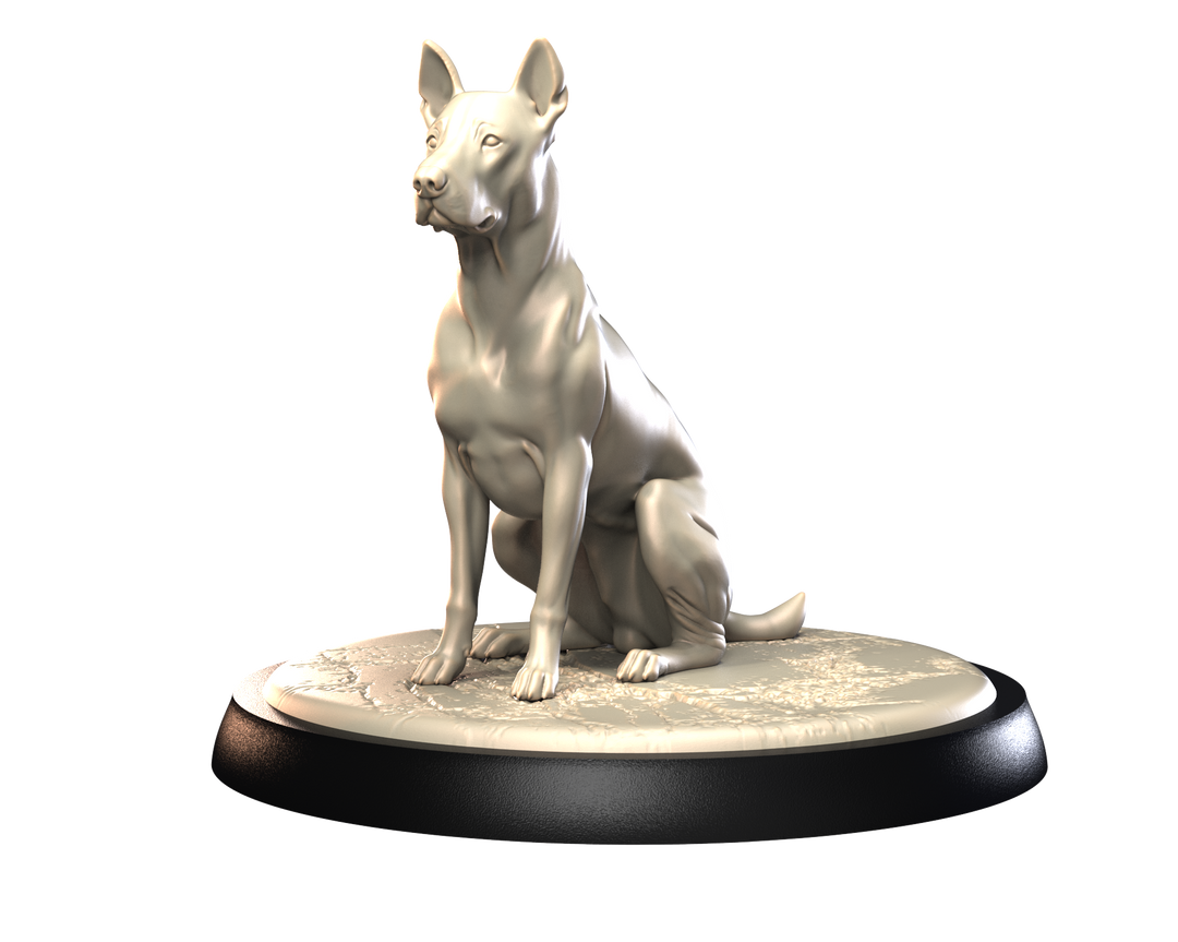 Dogs2 - Thai Ridgeback 2