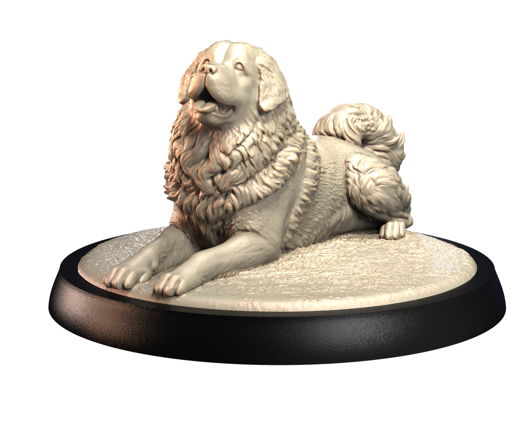 Dogs2 - Tibetan Mastiff 2