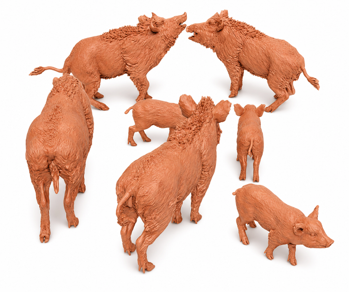 SWF003 Wild Boars