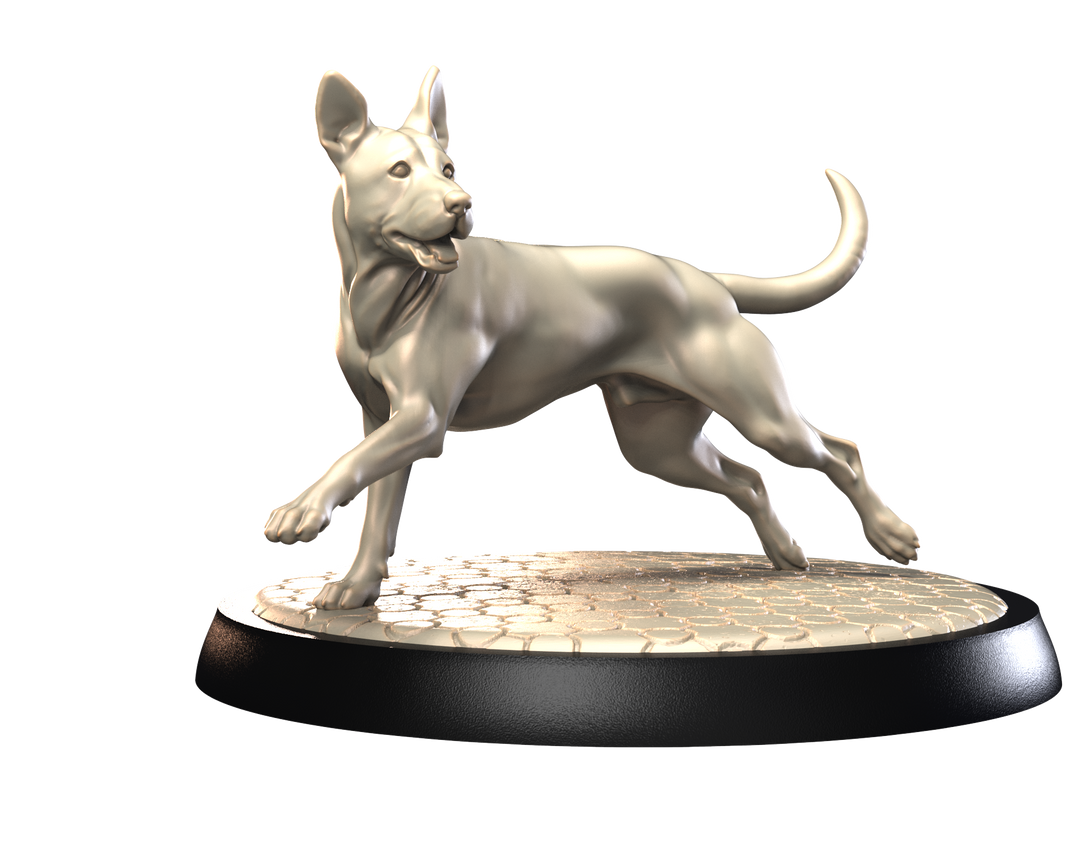 Dogs2 - Xoloitzcuintli 2
