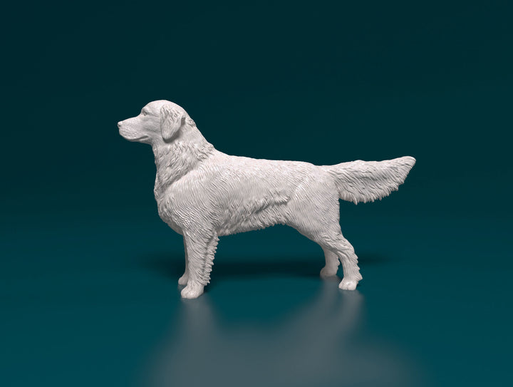 SWD003 Golden Retriever Standing