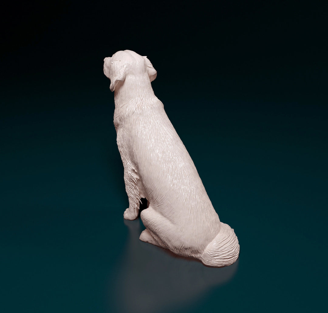 SWD004 Golden Retriever Sitting