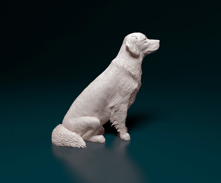 SWD004 Golden Retriever Sitting