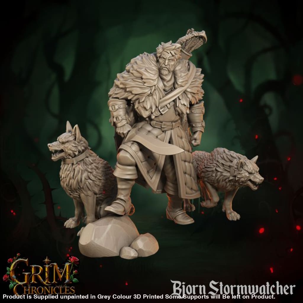 Grim Chronicles - Bjorn Stormwatcher + Wolves Medieval