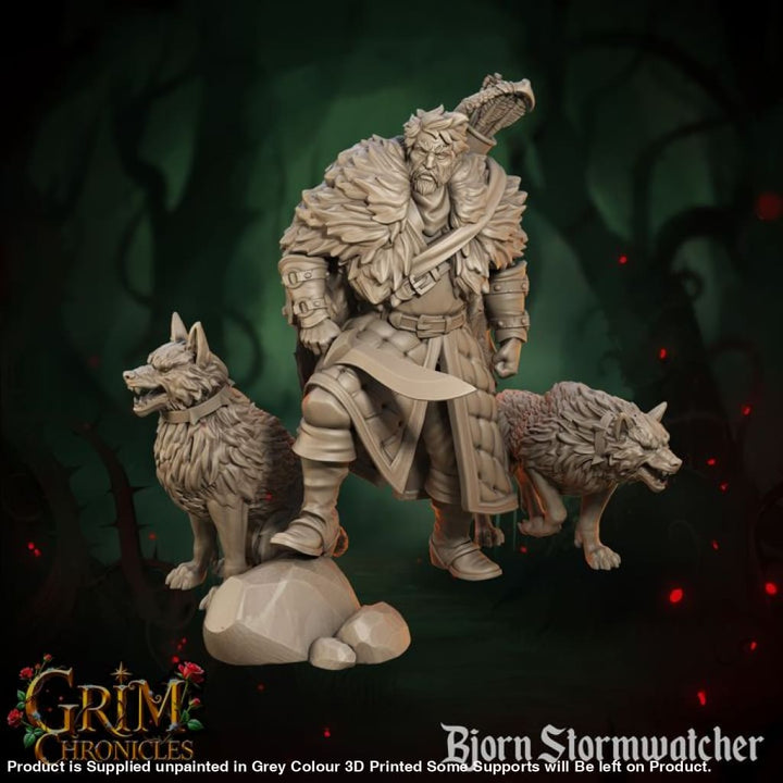Grim Chronicles - Bjorn Stormwatcher + Wolves Medieval