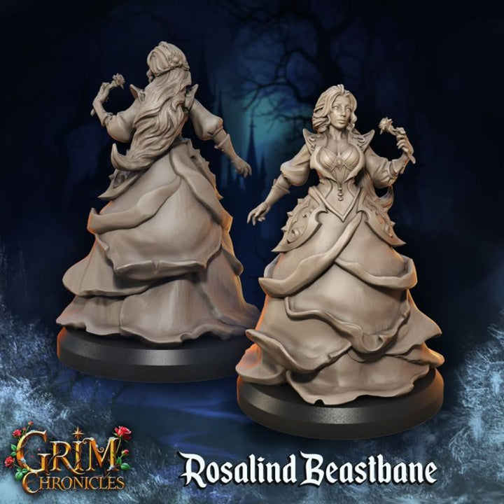Grim Chronicles - Rosalind Beastbane Medieval