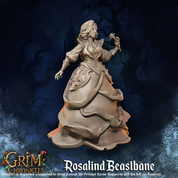 Grim Chronicles - Rosalind Beastbane Medieval