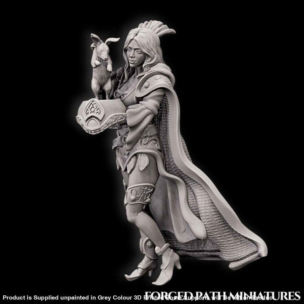 Medieval Circus - Magician Medieval