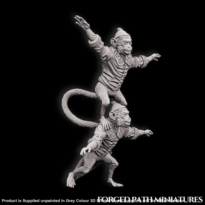 Medieval Circus - Monkey Medieval