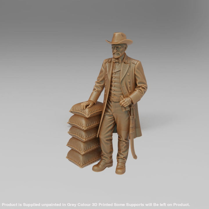 MM4387 Ulysses S. Grant 1869–1877 Figure