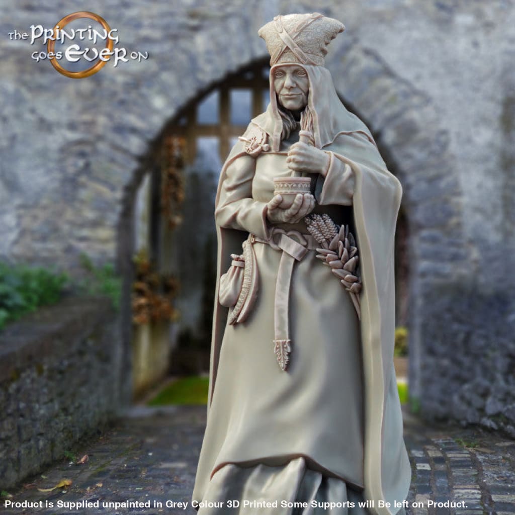 PGE - Healer Citizen of Whitcaester Medieval