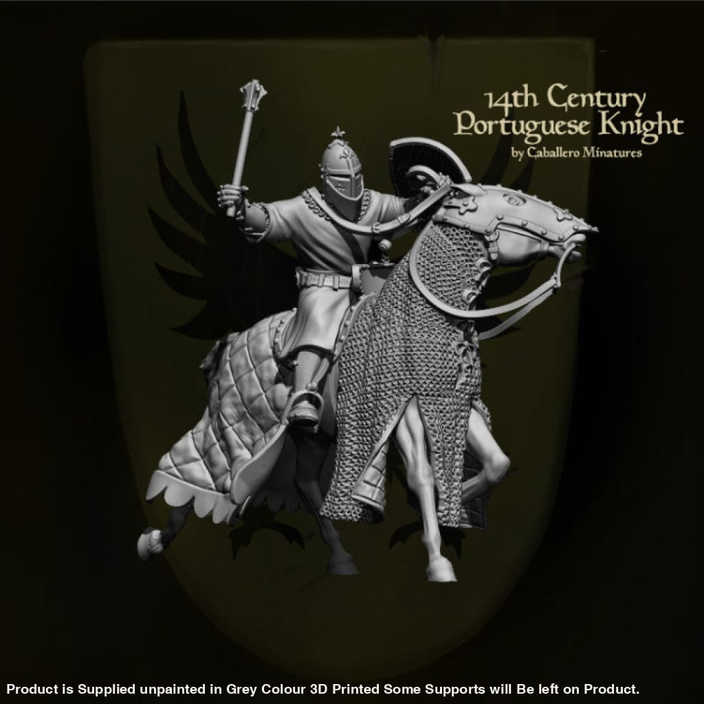REM0022 14th Century Portuguese Knight Medieval