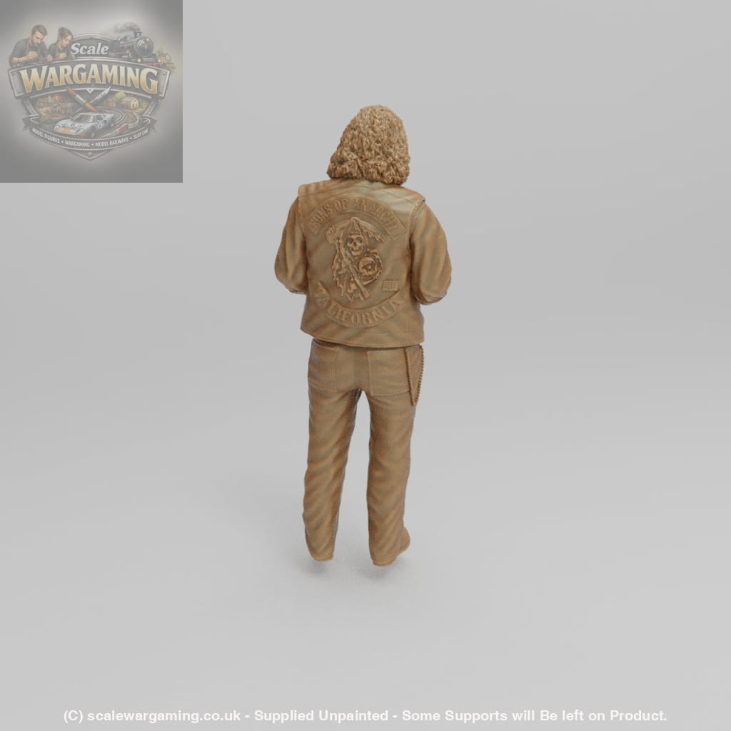 SW1157 Anarchy Bobby - Figure