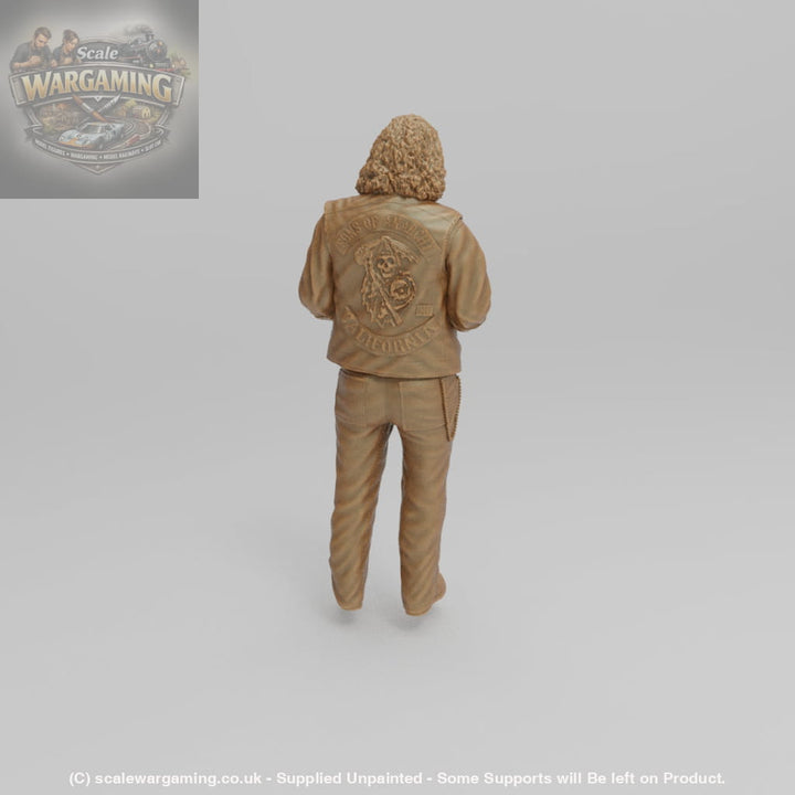 SW1157 Anarchy Bobby - Figure
